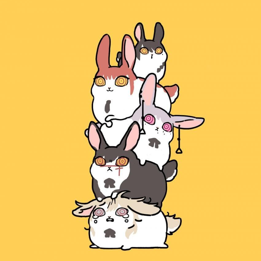 둘째 키가로 생활하기 대표 이미지