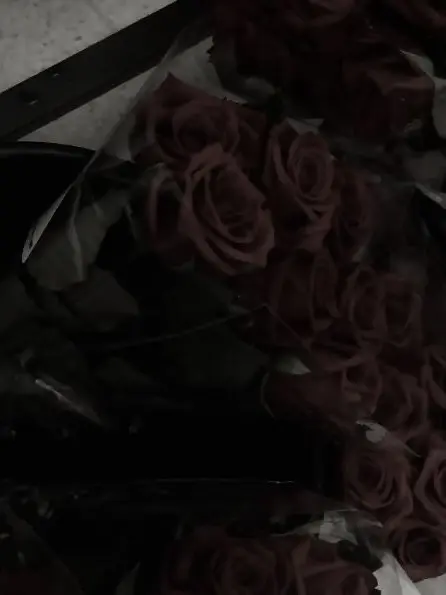 AgileFocus1616의 인외각