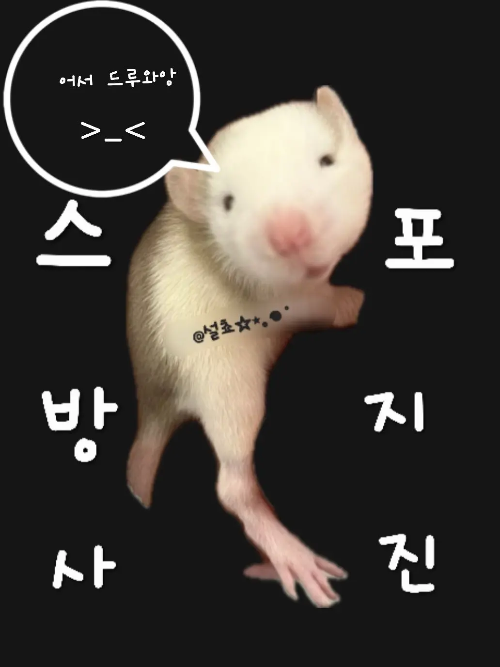 6._.Suah의 ❤️‍🔥커플 남녀무리❤️‍🔥