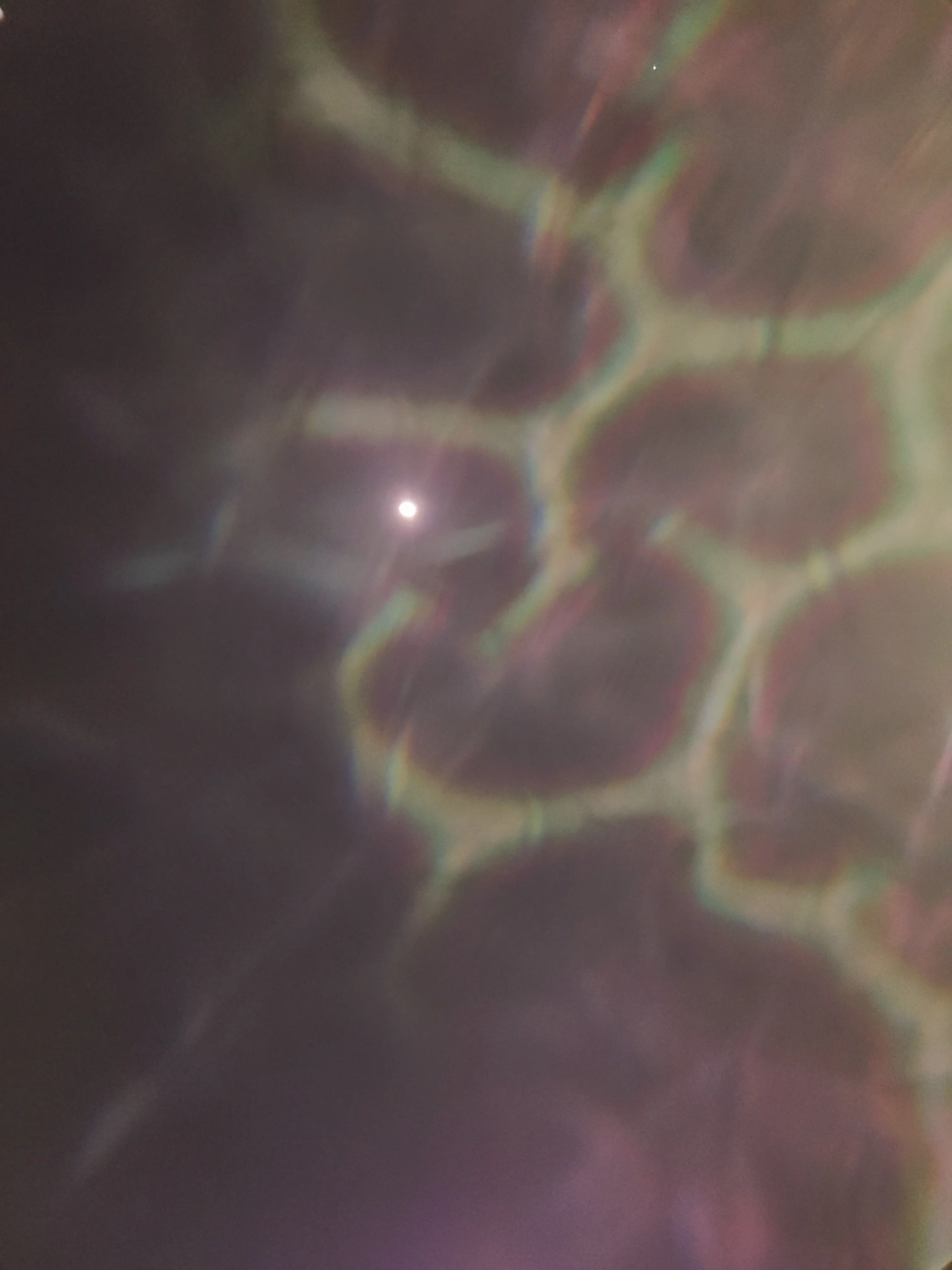 WidePika1344의 {{user}}는 미수반의 팀원!