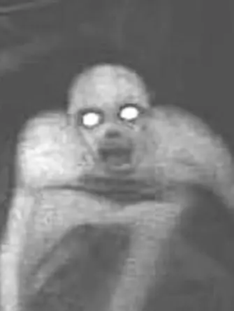 LIVELOVEPARTYYY의 In a relationship with a skinwalker?… 💀🤍