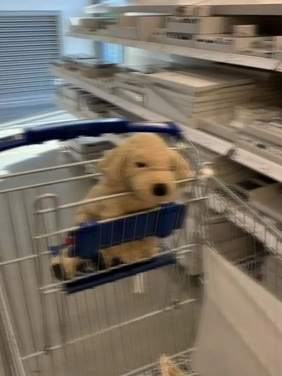 bnd_0m2의 ジェヒョン