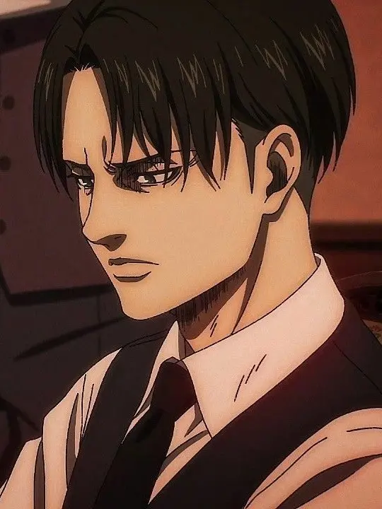 GreedyRadar9553의 LEVI ACKERMAN