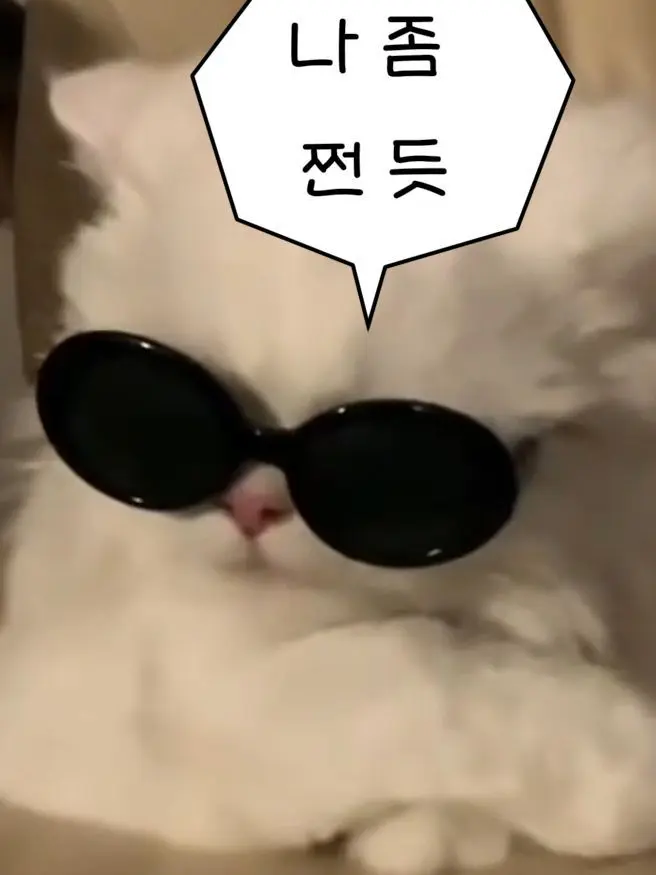 HAREMNICE의 이번엔 얀데레버전(남자없는버전)