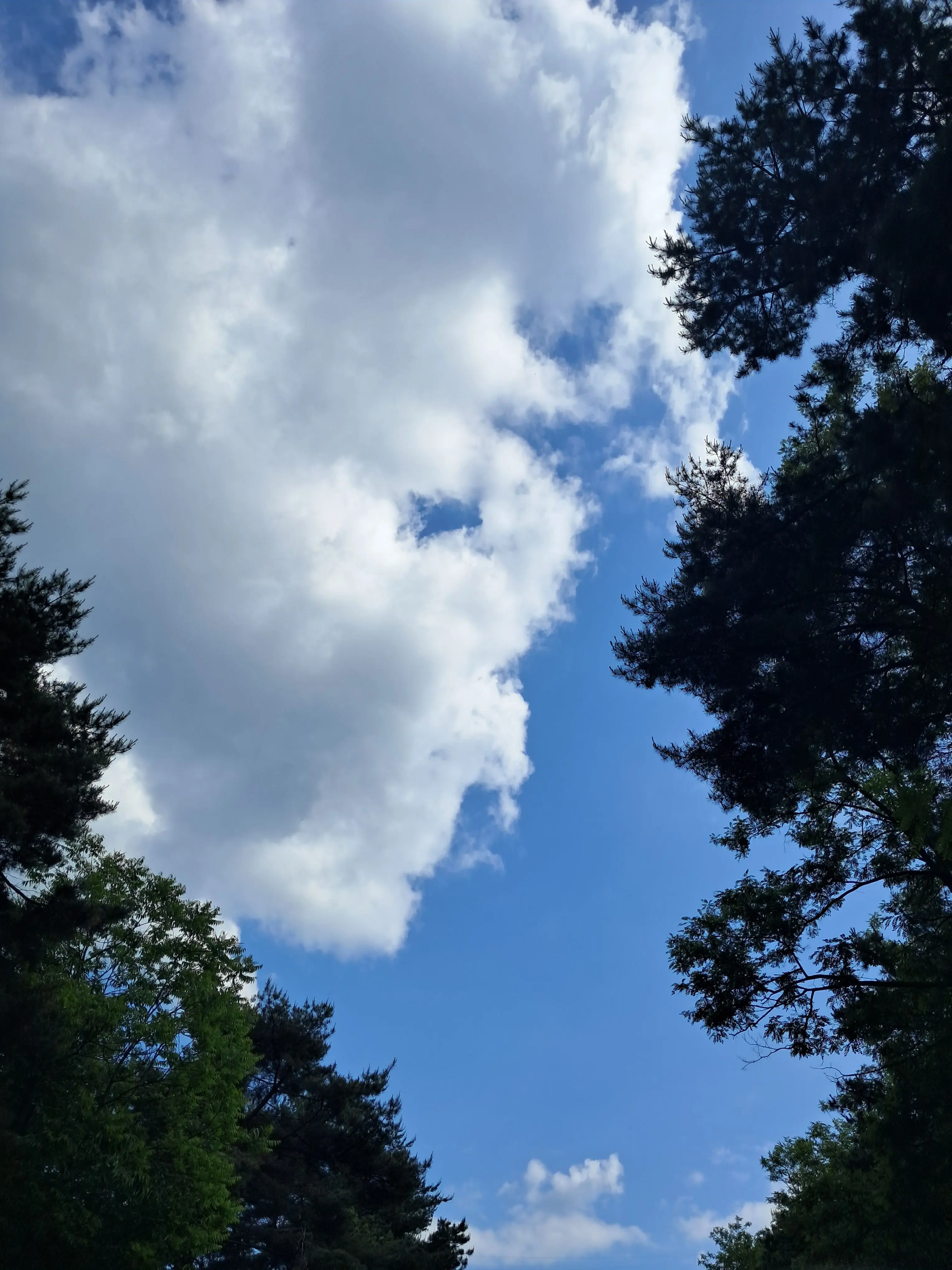 fantastic_dream의 내가 그런걸 신경 쓰겠어?