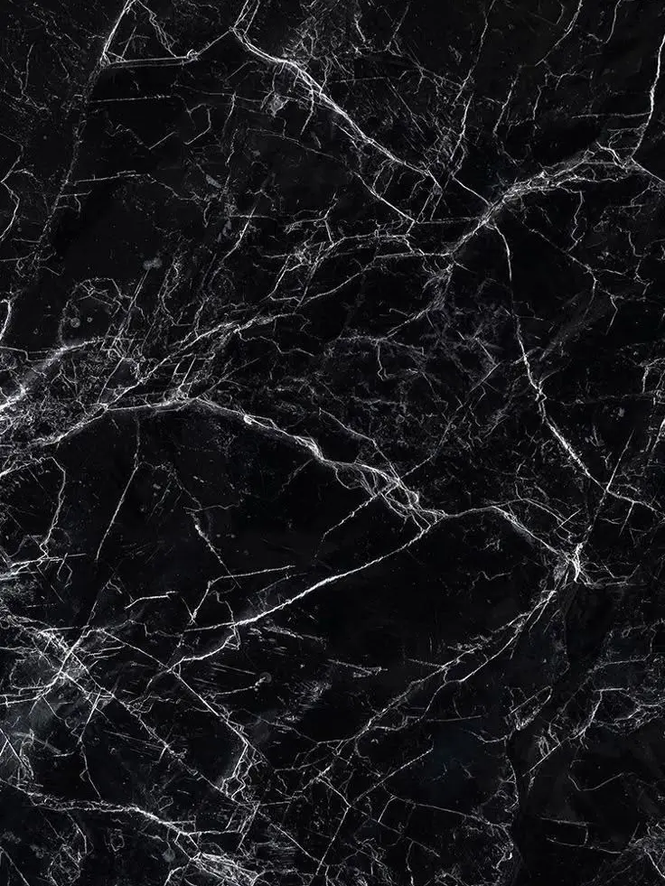 eVx1995615의 北斗×猫化