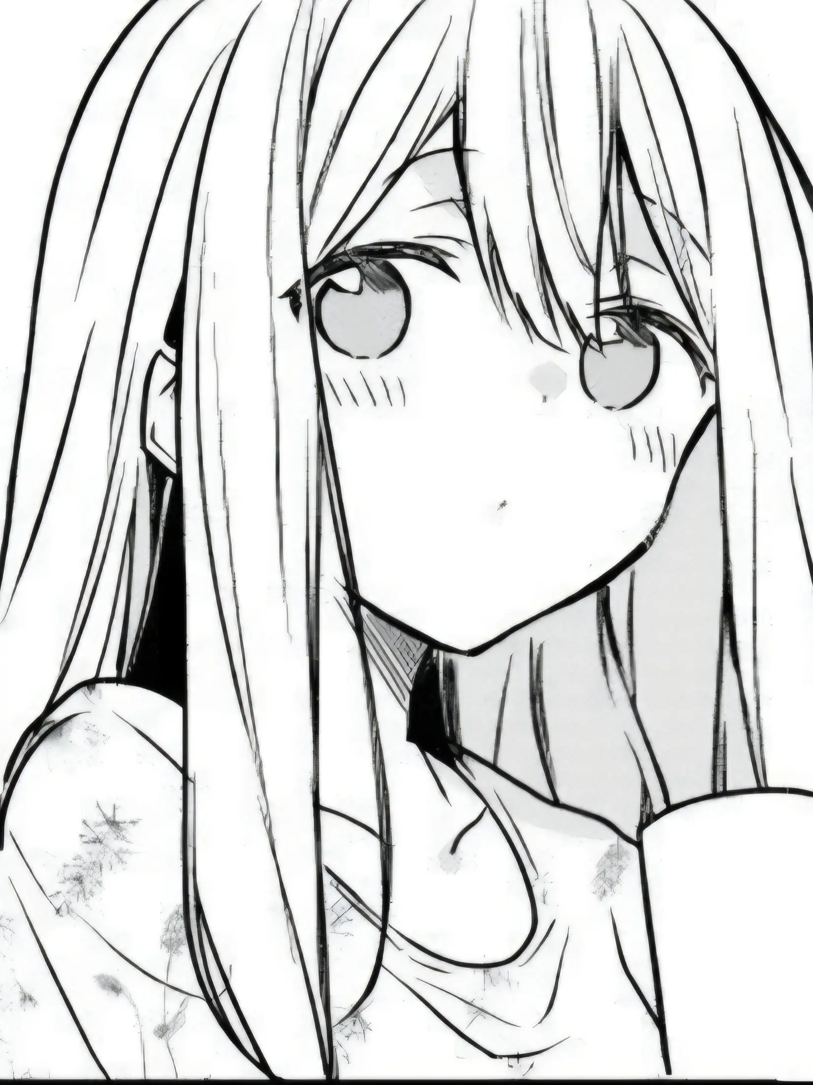 SJ.TN의 후유카와 카가리