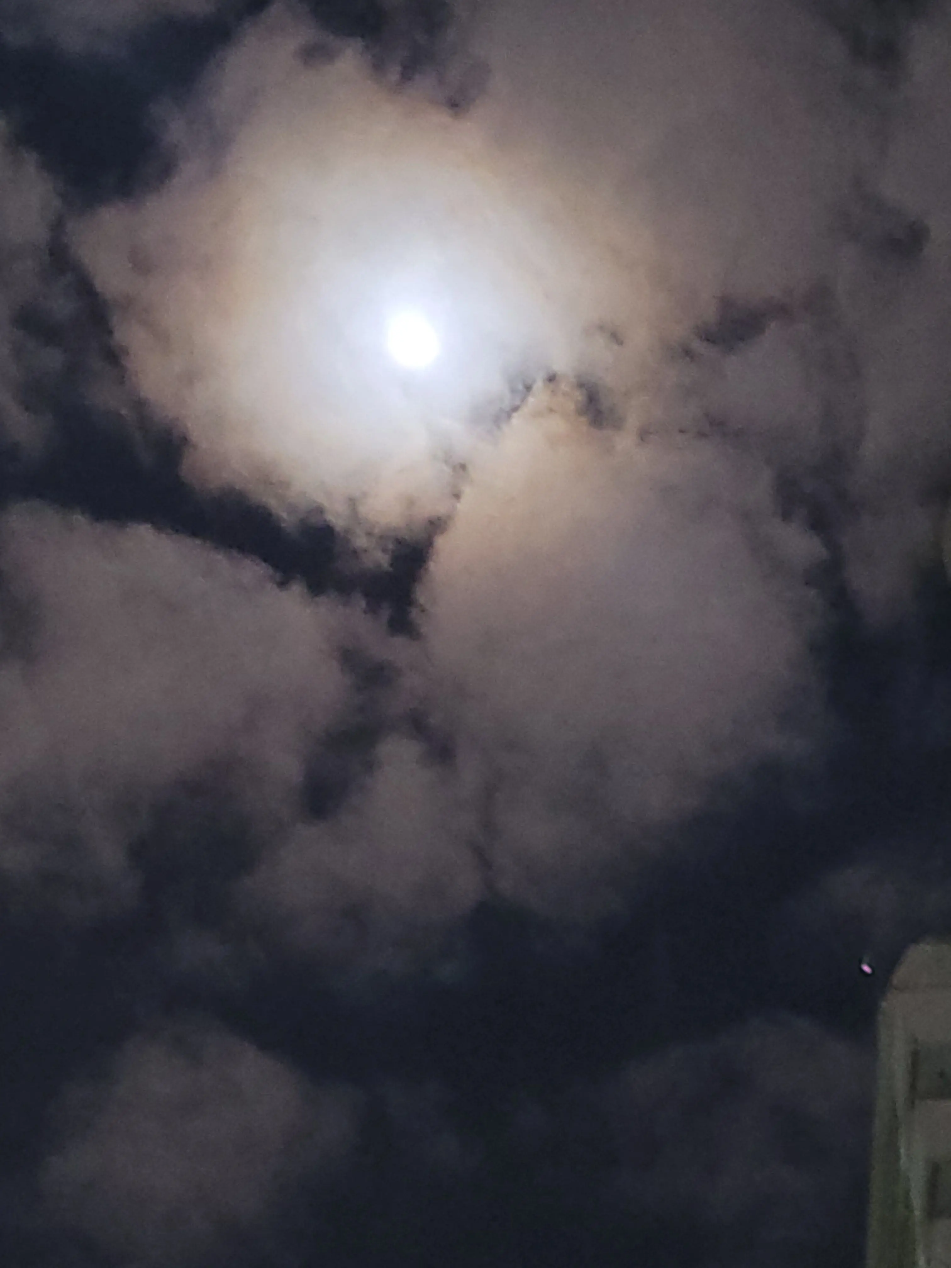 TartanDisc8259의 주선들