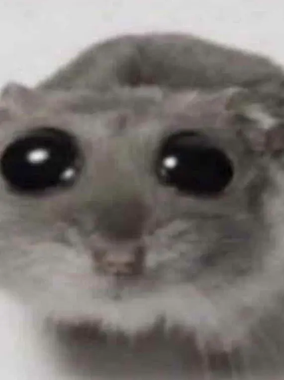 PlainEpoch5837의 ダンディの世界