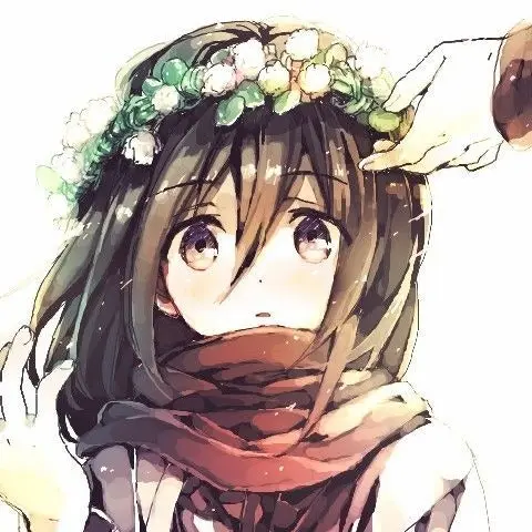 DHG의 어린 시절 미카사/ Mikasa 