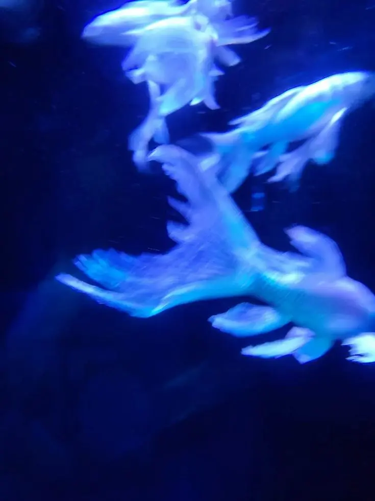 approximately의 沈海冥