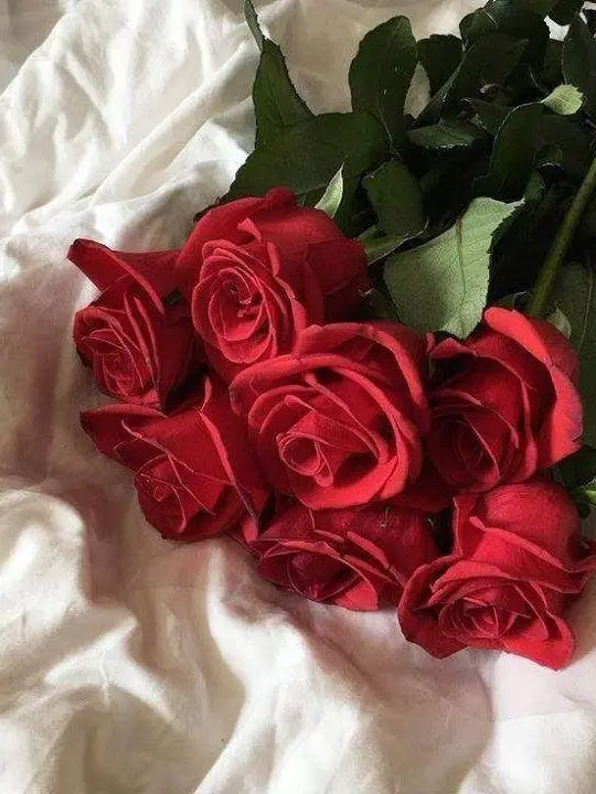 StumpyEye8353의 시내에서 부대장님들이랑 만났다?