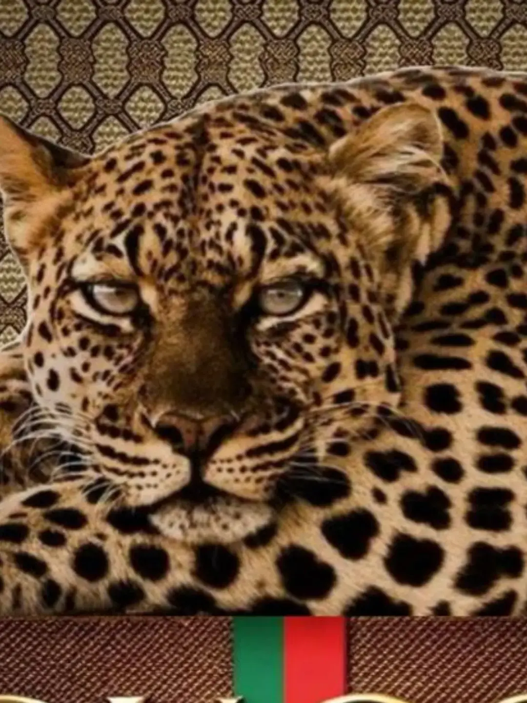 NeatGems2087의 Dad world