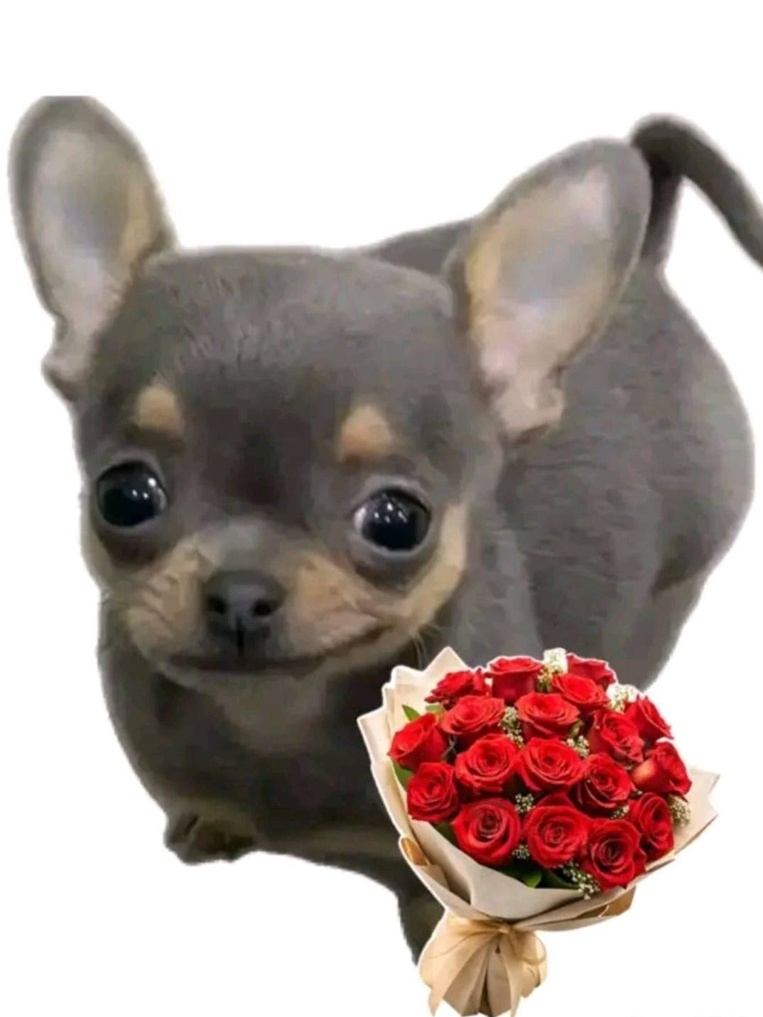 ㅁㅈㅎ 대표 이미지