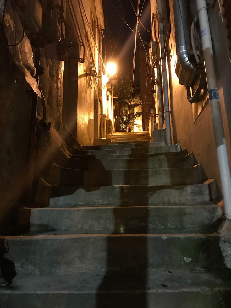 (개인용) 범천시공 마다라메 시온 대표 이미지