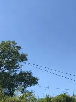 CrazyFlare5468의 패러다이스 멤버로 들어가기!