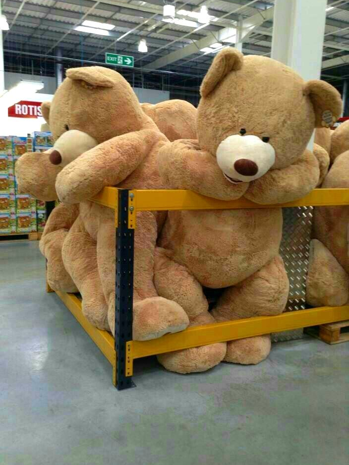 곰인형 같은 놈 대표 이미지