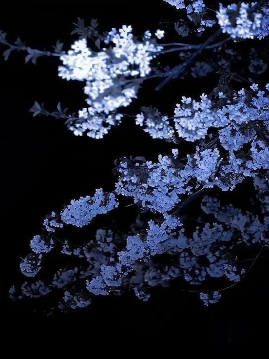 The_F00l의 Genshin Infection