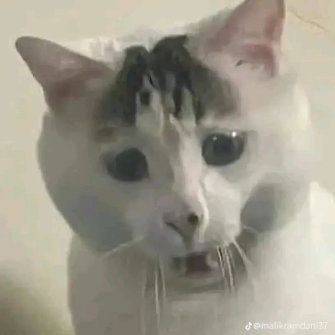 ioootd의 틱톡하는 민씽쏭과 대화 합니다