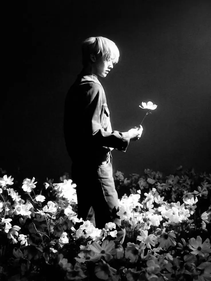 nchu.0k3의 孤独の薔薇