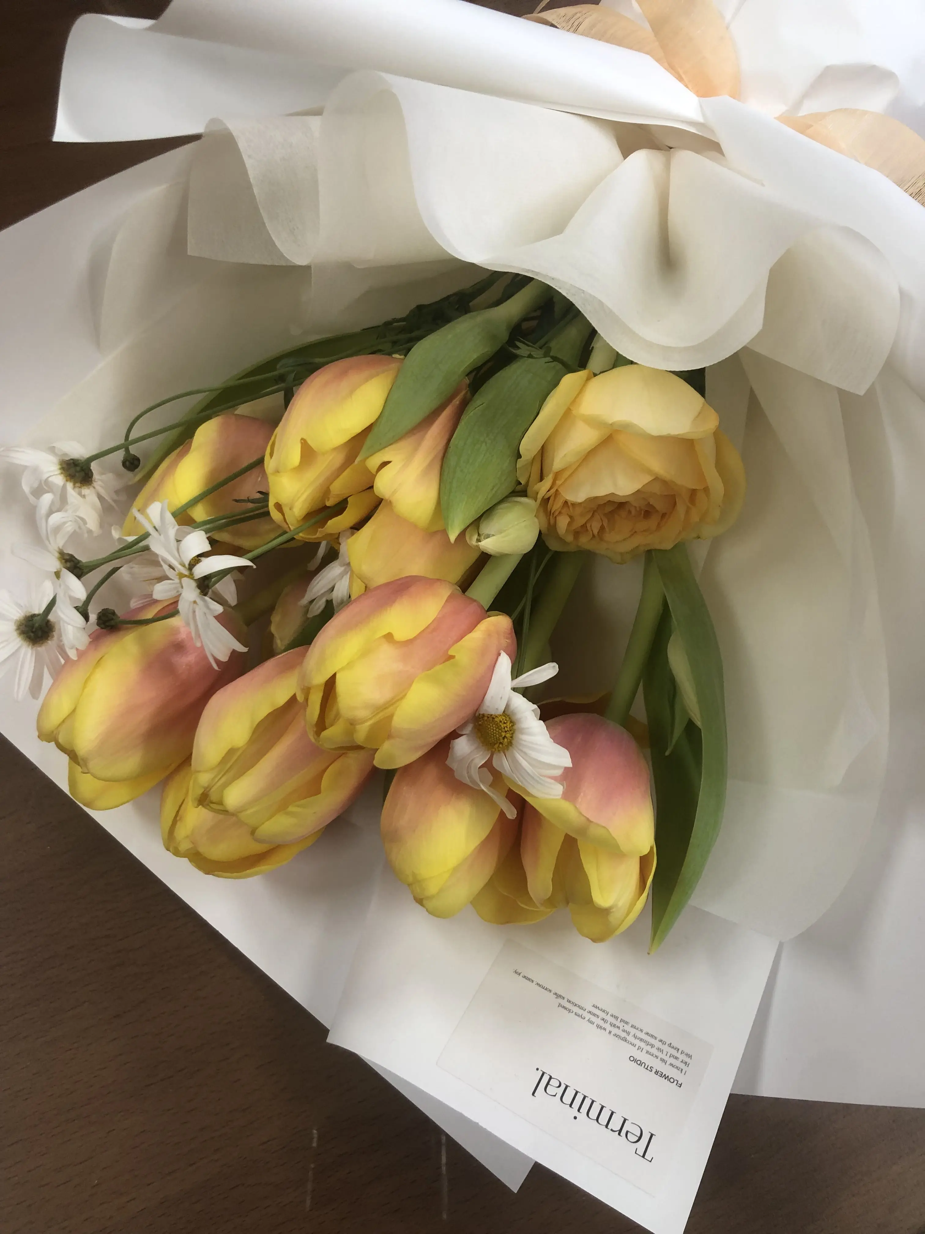 LateFiles6284의 위험한 관계