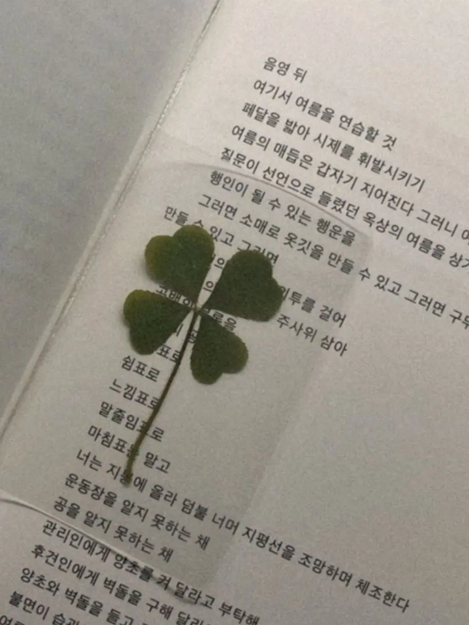_Yeongwol.의 남자애들과 소개팅 게임하기.