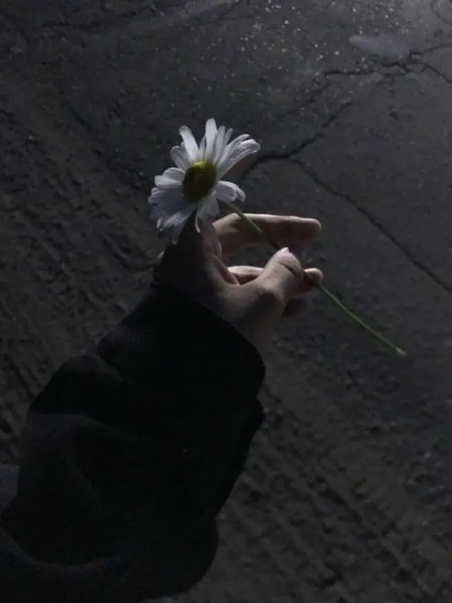 CreamViola4759의 No Two Suns Under One Sky