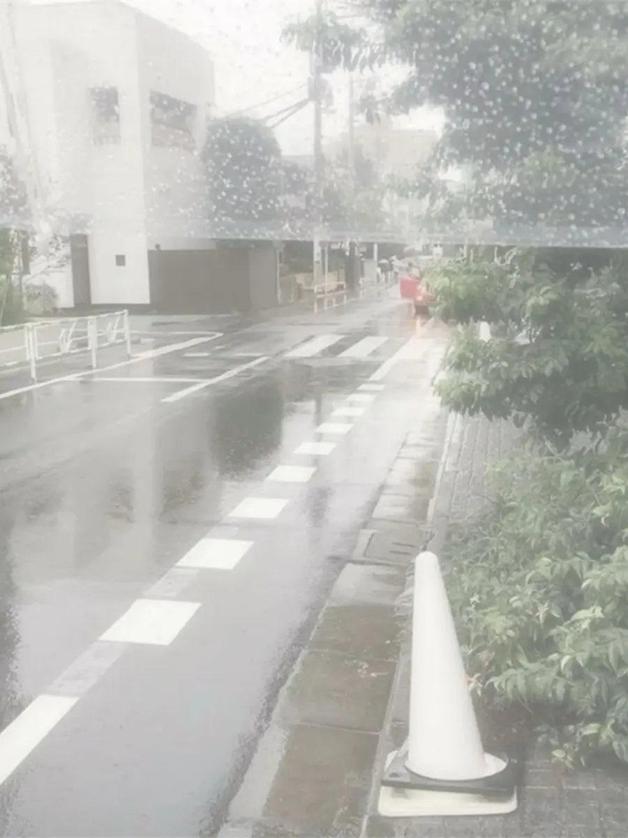 NJSW의 Xo (Only if you say Yes!)