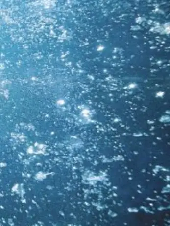 shnn__34.의 君色の海に溺れてもいい？