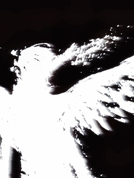 𝑽𝒂𝒈𝒖𝒔. 대표 이미지