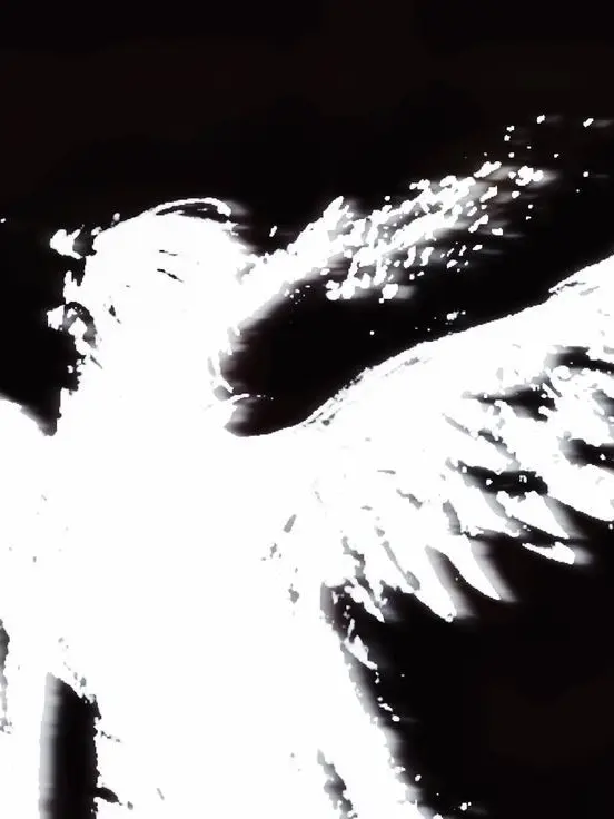 RAIN_B의 𝑽𝒂𝒈𝒖𝒔.