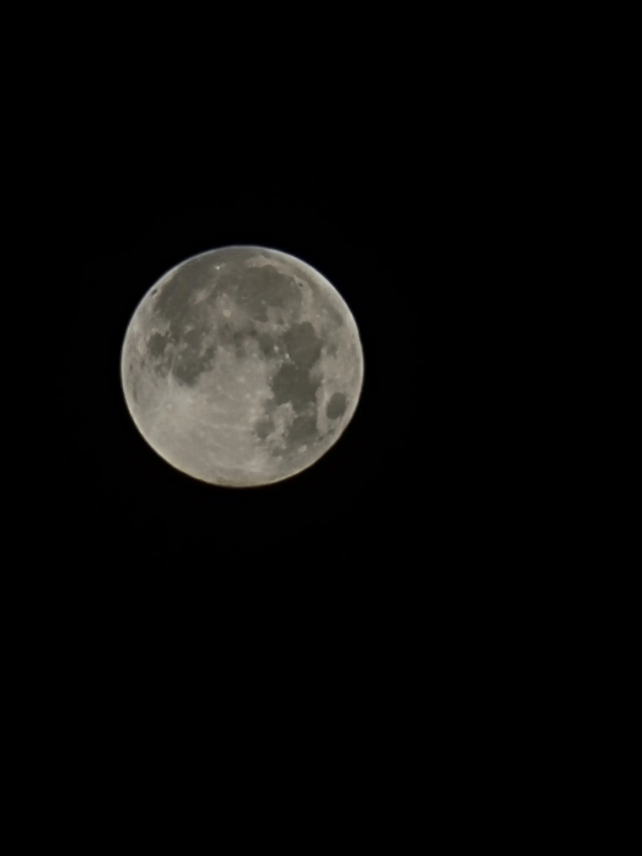 GoldenWrist7171의 님이 여우에게 속음