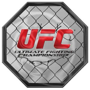 UFC 선수가 되어 챔피언이 되어보자
