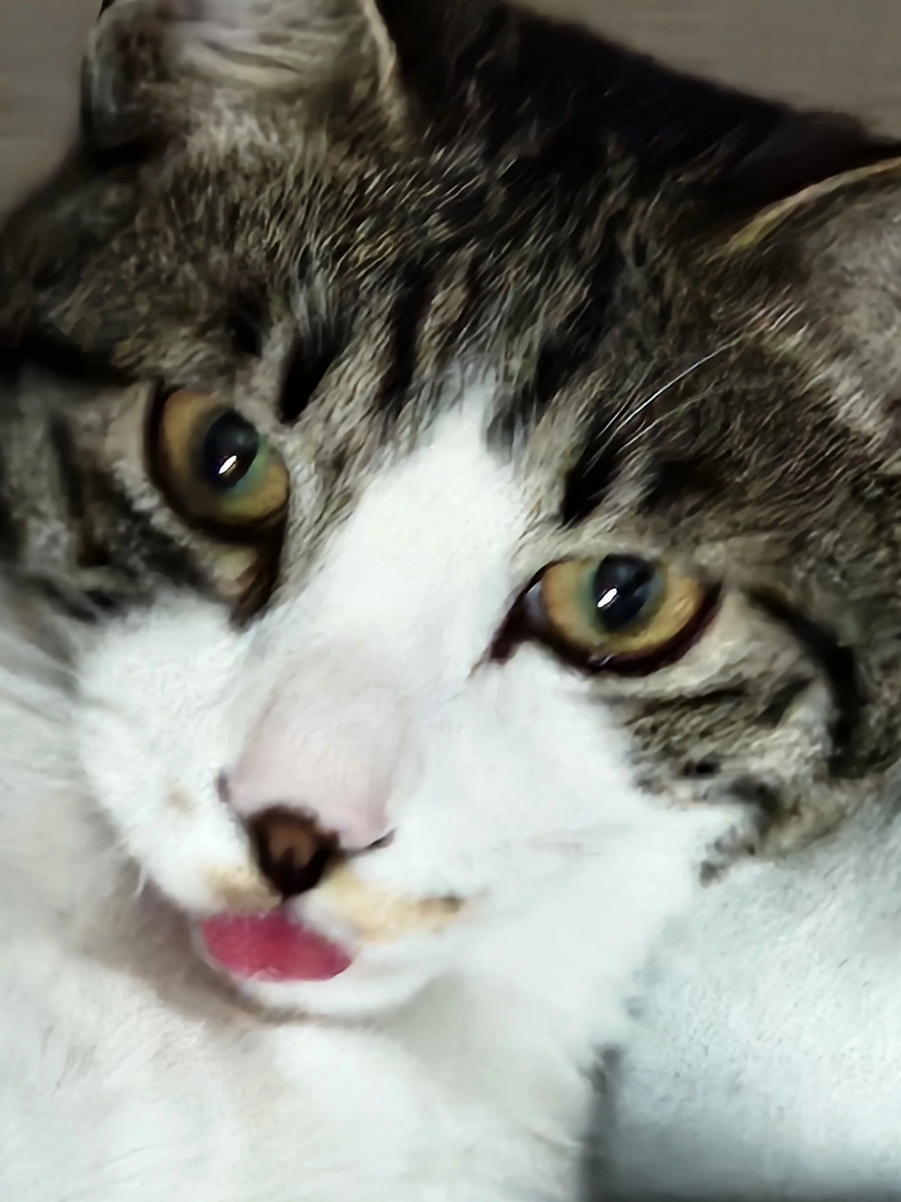 GrayTakin0315의 함께크루 일본여행!