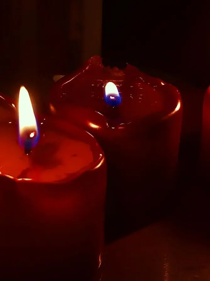 Mouse5959의 깜찍 발랄한 나의 계약자님,