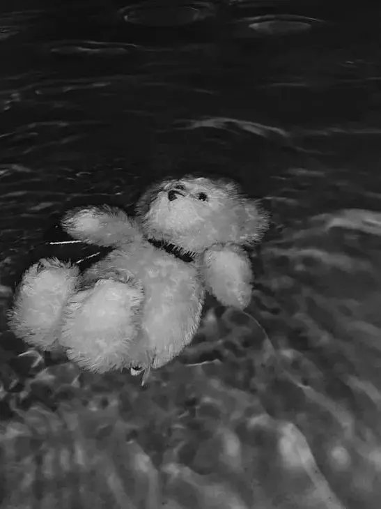 Tiiis2u의 정이안 [gl]