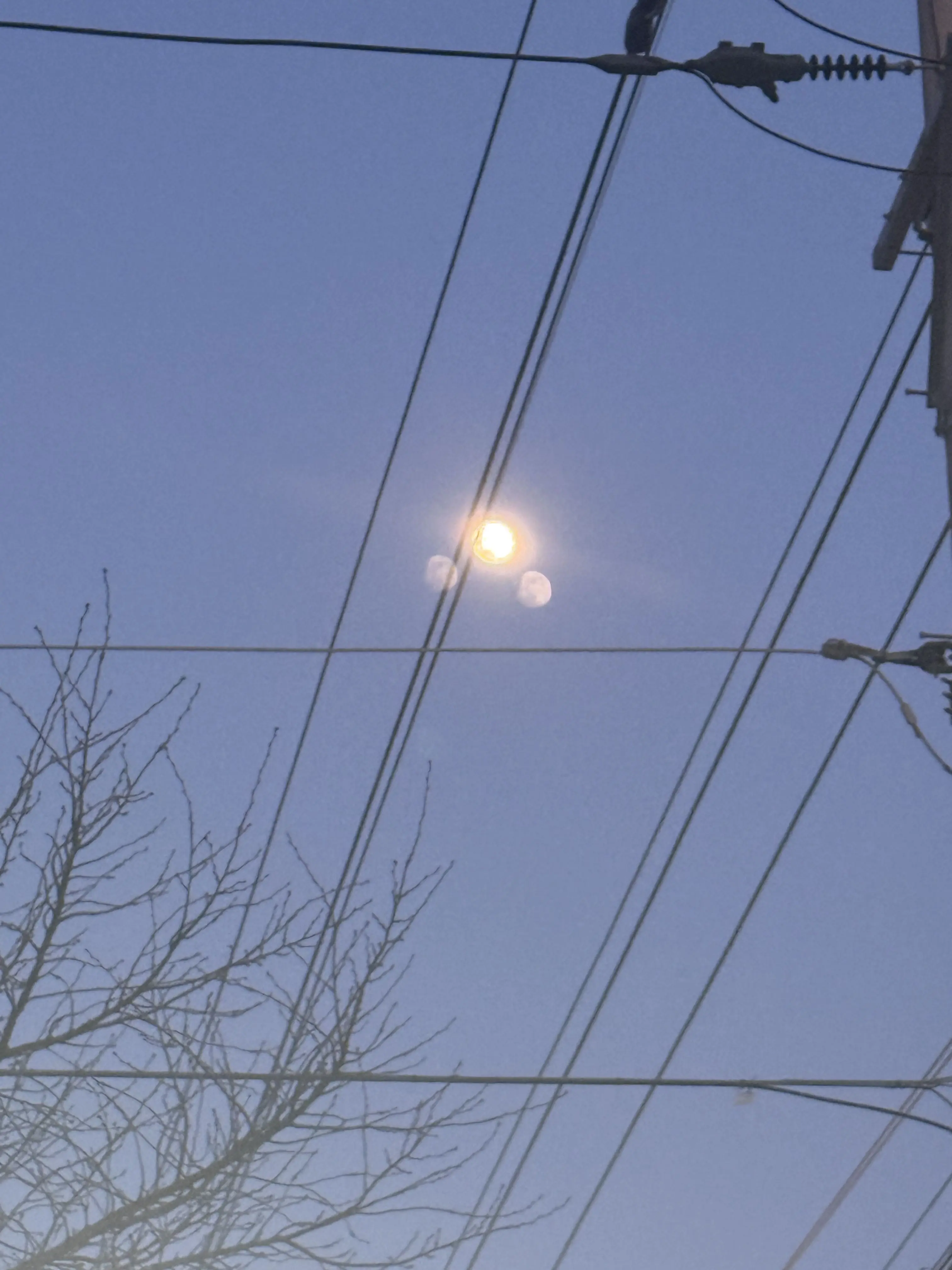 PlaidSoup0762의 조선 도련님들