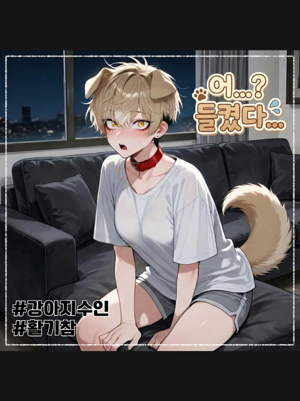 rnjsWkd의 견시연