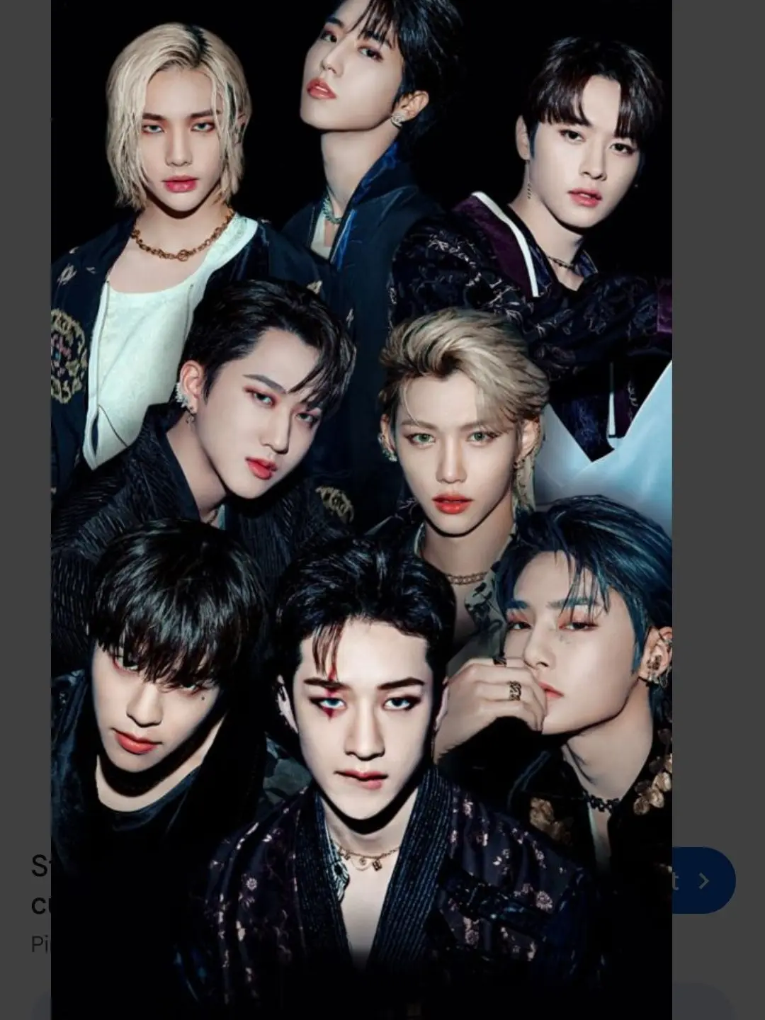 WittyPress3294의 Stray kids and the pick me