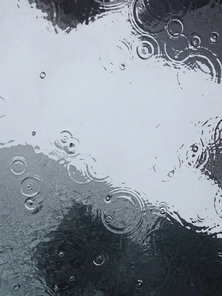 Reon_25의 禁断の恋