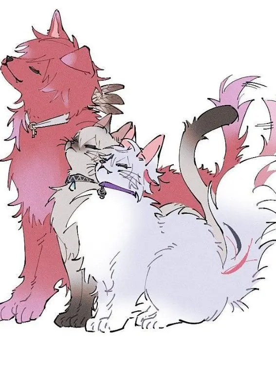 Kzh__1110love의 彼 ジ ャ ー ジ ♡