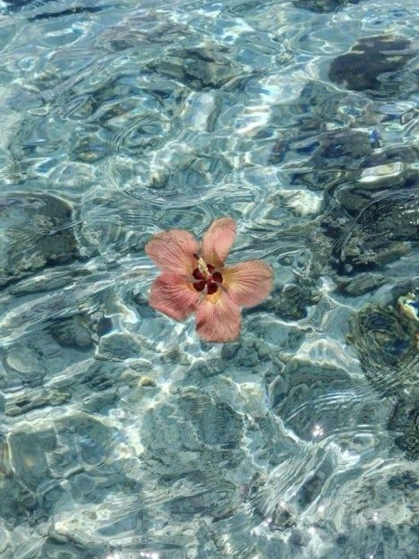🌊[  선장님 이야기 ]⛵ 대표 이미지