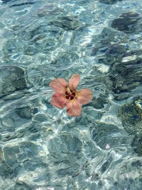 cute_kitty0202의 🌊[  선장님 이야기 ]⛵