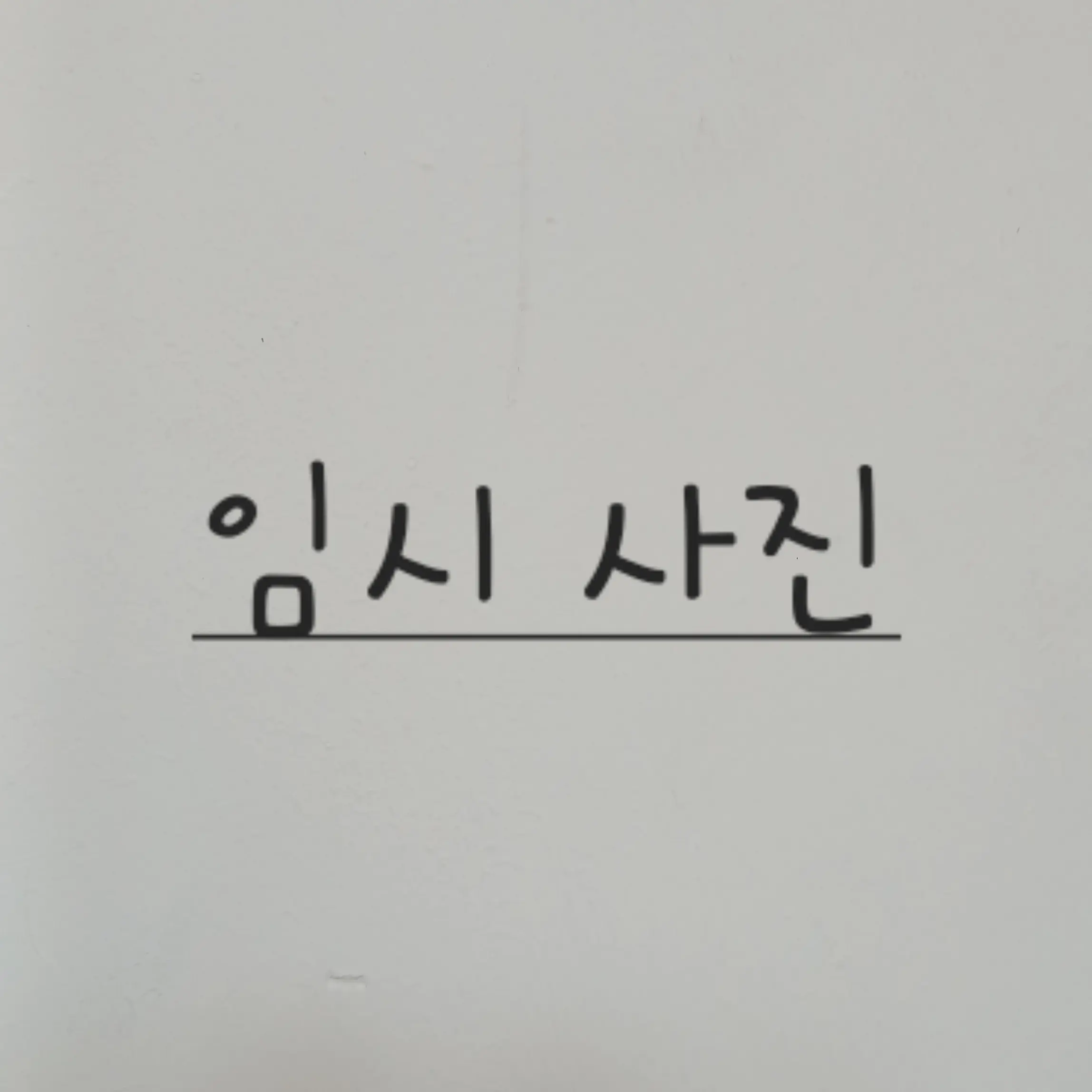 MellowVase4794의 픽셀리 가족인데...나이차이가..심함