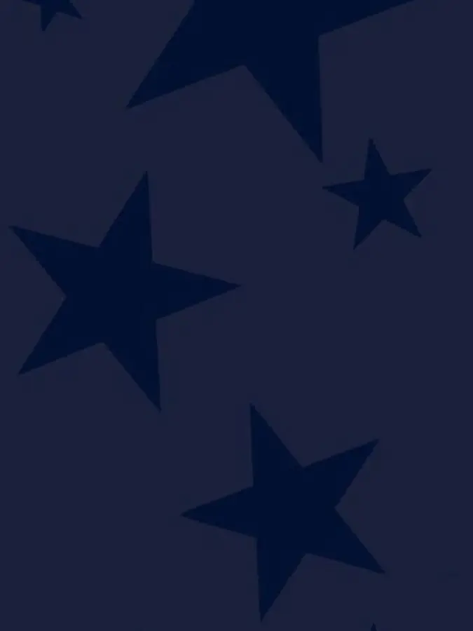 JaggedMoth8584의 MINGYU