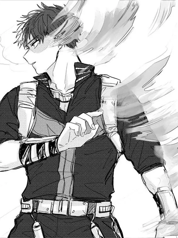 Novachanz의 Shoto Todoroki