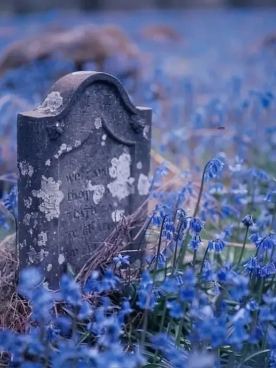 HappyLung8723의 幽霊スポットに行こう！