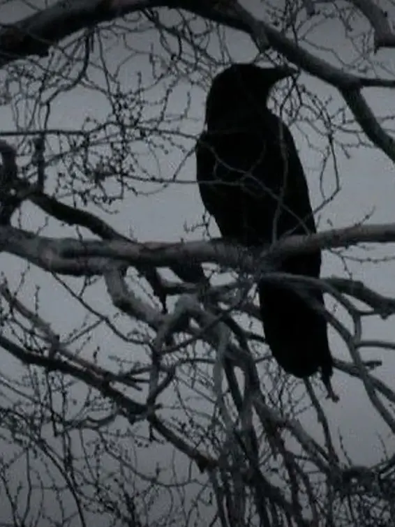 GHOST_000의 SCREAM!!