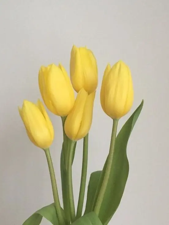 ground.sleep1228의 각별