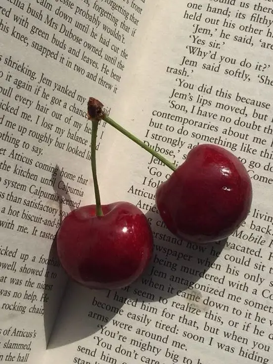 MellowWasp4962의 잘 익은 열매는 그만큼 무르기 쉽다.